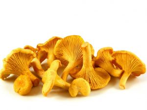 Façons de lutter contre l'amertume des chanterelles