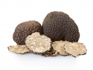 Kung saan makahanap ng mga truffle sa Russia