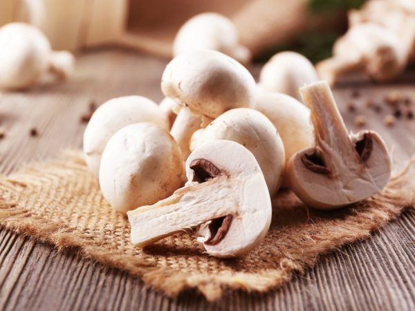 The benefits and harms of champignons