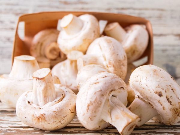 Champignons are good for pregnant women