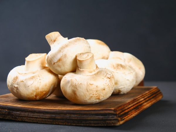 Ang mga Champignon ay may maraming mga nakakalason na katapat