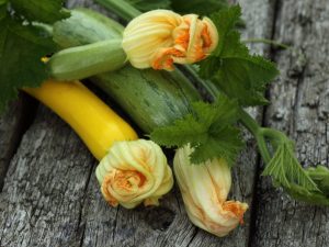 Ang pangunahing pagkakaiba sa pagitan ng zucchini at zucchini