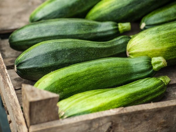 Mga paraan upang mag-imbak ng zucchini sa bahay