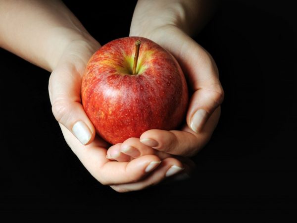 A felső öltözködés elengedhetetlen a gyümölcs megszerzéséhez.