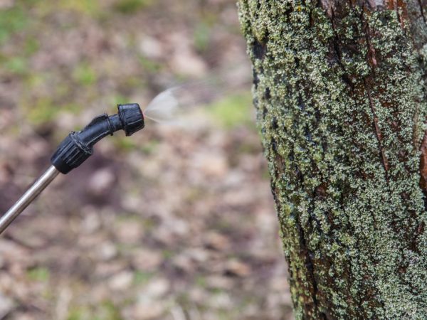 A fertőzött területeket meg kell mosni