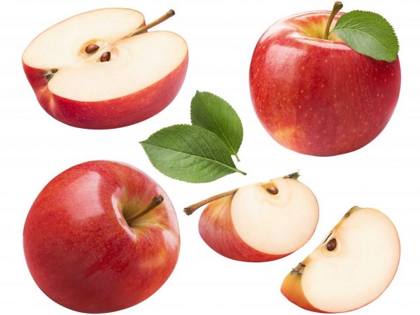 Prevention for the apple tree is a must