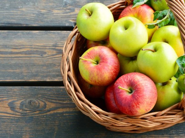 A very prolific apple variety