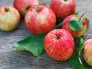 Propriétés utiles des pommes pour les hommes