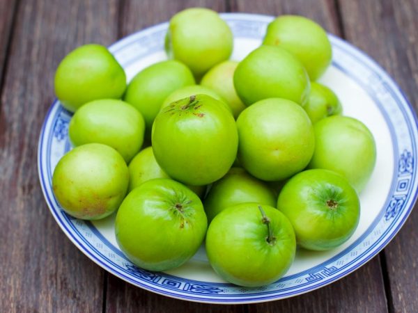 A jó gondozás gazdag termést biztosít Önnek