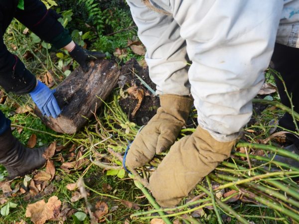 La méthode d'abri dépend du climat de la région.